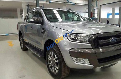 Ford Ranger Wildtrak 3.2 2017 - Bán xe Ford Ranger Wildtrak 3.2 sản xuất 2017, màu bạc, giá chỉ 880 triệu