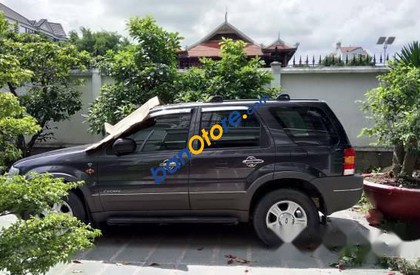 Ford Escape 3.0 V6 2002 - Bán xe Ford Escape 3.0 V6 đời 2002, màu xám, mức tiêu nhiên liệu 12L/100km, 2 cầu