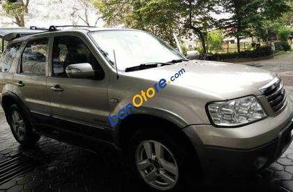Ford Escape AT 2008 - Cần bán Ford Escape AT sản xuất 2008, màu bạc
