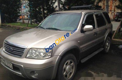 Ford Escape   AT 2006 - Cần bán gấp Ford Escape AT sản xuất 2006, màu xám