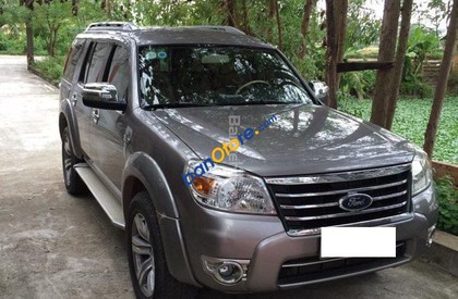 Ford Everest MT 2010 - Bán Ford Everest Mt năm sản xuất 2010, màu xám  