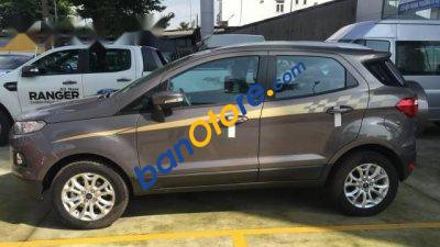 Ford EcoSport 1.5L Black edition 2017 - Bán xe Ford EcoSport 1.5L Black edition năm 2017, màu xám 
