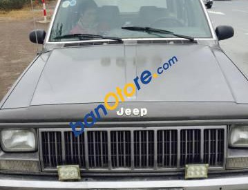 Jeep Cherokee 1995 - Cần bán gấp Jeep Cherokee đời 1995