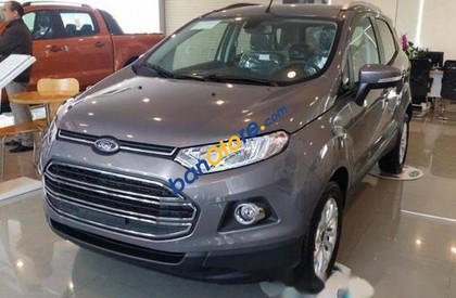 Ford EcoSport 2016 - Cần bán xe Ford EcoSport đời 2016, giá chỉ 530 triệu