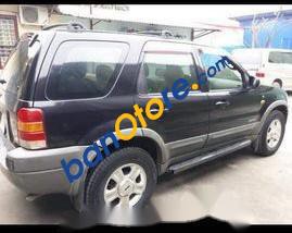 Ford Escape   2003 - Cần bán Ford Escape 2003, số tự động 