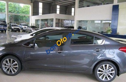 Kia Rio 2016 - Bán ô tô Kia Rio sản xuất 2016, màu xám, xe nhập xe gia đình
