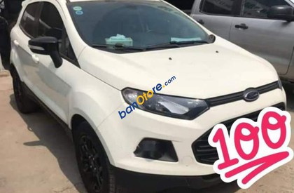 Ford EcoSport    Titanium 2016 - Bán xe Ford EcoSport Titanium sản xuất 2016, màu trắng giá cạnh tranh