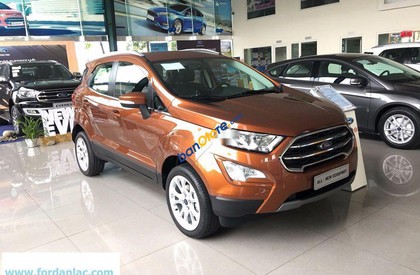 Ford EcoSport 1.5L Abiente 1.5L 2019 - Bán xe Ford EcoSport sản xuất năm 2019, mới 100%