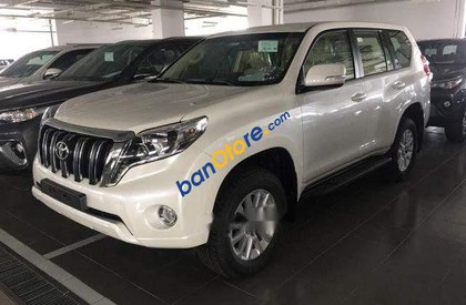 Toyota Prado vx 2019 - Bán Toyota Prado VX năm sản xuất 2019, màu trắng, nhập khẩu