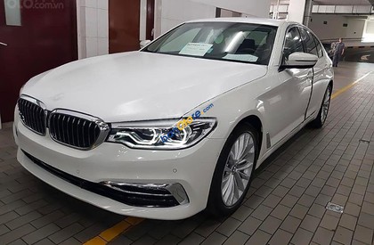 BMW 5 Series 530i 2019 - Bán ô tô BMW 5 Series 530i sản xuất 2019, màu trắng, nhập khẩu nguyên chiếc