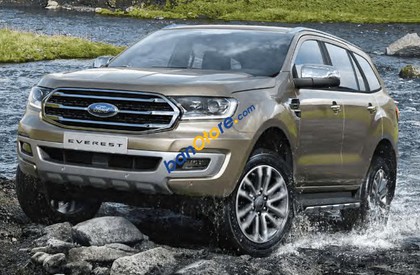 Ford Everest  2.0L Ambiente 2019 - Bán xe Ford Everest 2.0L Ambiente năm 2019, màu vàng cát, nhập khẩu nguyên chiếc, 919 triệu