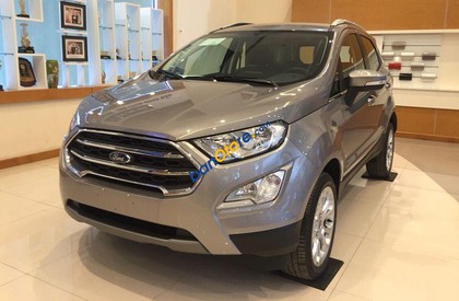 Ford EcoSport 2019 - Bán xe Ford EcoSport Titanium 1.5L AT sản xuất năm 2019, màu bạc