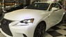 Lexus IS250 2015 - Bán ô tô Lexus IS250 đời 2015, màu trắng hiện đại và sang trọng