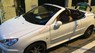 Peugeot 206 CC 2007 - Xe Peugeot 206 CC sản xuất 2007, màu trắng, nhập khẩu chính hãng chính chủ