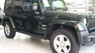 Jeep Wrangler Limited 2009 - Cần bán xe Jeep Wrangler Limited năm 2009, nhập khẩu