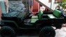 Jeep Wrangler 1989 - Chính chủ bán xe Jeep Wrangler đời 1989, nhập khẩu, nhanh tay liên hệ 