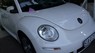 Volkswagen Beetle 2010 - Volkswagen Beetle đời 2010, màu trắng, nhập khẩu chính hãng