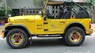 Jeep Wrangler CJ MT 1989 - Cần bán gấp Jeep Wrangler CJ MT đời 1989, màu vàng, xe nhập đã đi 94999 km