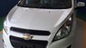 Chevrolet Spark LS 2015 - Bán ô tô Chevrolet Spark LS đời 2015, màu trắng