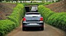 Volkswagen Polo 2015 - Volkswagen Polo Hatchback 1.6L AT, màu đen, nhập khẩu nguyên chiếc. LH 0901.941.899 để có giá tốt nhất
