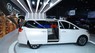 Kia Kia khác 2015 - Mình cần bán xe Kia Grand Sedona 2.2 DAT FULL - 2016