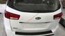 Kia K Sedona GAT 3.3L 2015 - Bán ô tô Kia K Sedona GAT 3.3L đời 2015, màu trắng, nhập khẩu