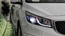 Kia Kia khác 2015 - Kia Grand Sedona 3.3 DAT - 2016 cần bán