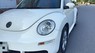 Volkswagen Beetle 2009 - Bán xe Volkswagen Beetle 1.6 nhập khẩu nguyên chiếc từ Đức cuối năm 2009 đời 2010