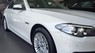 BMW 5 Series 520i 2015 - Bán ô tô BMW 5 Series 520i năm 2015, màu trắng 