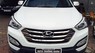 Hyundai Santa Fe 2013 - Mình cần bán Hyundai Santa Fe CRDI máy dầu nhập khẩu nguyên chiếc tại Hàn Quốc