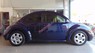 Volkswagen Beetle 2002