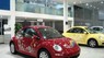 Volkswagen Beetle -   mới Nhập khẩu 2010