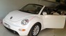 Volkswagen New Beetle 2004
