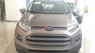 Ford EcoSport AT Trend 2015