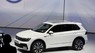 Volkswagen Tiguan 2015 - Bán xe Volkswagen Tiguan đời 2015, màu trắng, nhập khẩu chính hãng