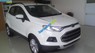 Ford EcoSport Trend 2015