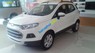 Ford EcoSport Trend 2015