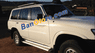 Nissan Patrol 2002 - Nissan Patrol đời 2002, màu trắng, nhập khẩu nguyên chiếc