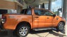 Ford Ranger Wildtrak 3.2 AT 4x4 2018 - Cần bán Ford Ranger Wildtrak 3.2 AT 4x4 đời 2018, màu cam, nhập khẩu nguyên chiếc, hỗ trợ trả góp tại Quảng Ninh