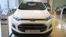 Ford EcoSport 2016 - Cần bán Ford EcoSport đời 2016, màu trắng