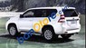 Toyota Prado TXL 2017 - Cần bán xe Toyota Prado TXL đời 2017, màu nâu, xe nhập
