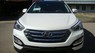 Hyundai Santa Fe 2016 - Bán ô tô Hyundai Santa Fe bản đặc biệt, hỗ trợ vay 80%, ca kết giao xe trước lễ