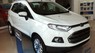 Ford EcoSport Titanium 2016 - Bán Ford EcoSport Titanium đời 2017, màu trắng, giá chỉ 636 triệu, KM 10 triệu phụ kiện