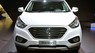 Hyundai Tucson    2016 - Cần bán xe Hyundai Tucson 2016, màu trắng, nhập khẩu nguyên chiếc