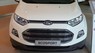 Ford EcoSport Titanium 2017 - Bán Ford EcoSport Titanium 2017, giá tốt nhất thị trường, hỗ trợ trả góp, thủ tục nhanh gọn