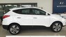 Hyundai Tucson   2017 - Cần bán Hyundai Tucson mới 2017, màu trắng, nhập khẩu nguyên chiếc, giá 760tr