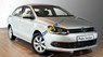 Volkswagen Polo   GP 2015 - Bán Volkswagen Polo AT đời 2015, màu nâu, nhập khẩu