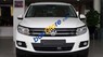Volkswagen Tiguan 2.0 TSI 4 Motion 2016 - Bán Volkswagen Polo Hatchback AT 2015, màu bạc, nhập khẩu  