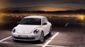 Volkswagen New Beetle E 2016 - Cần bán Volkswagen New Beetle E 2016, màu trắng, nhập khẩu nguyên chiếc