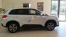 Suzuki Vitara 2016 - Suzuki New Vitara giá tốt, hỗ trợ trả góp 70% nhận xe ngay trong ngày tại Tây Hồ, Hà Nội